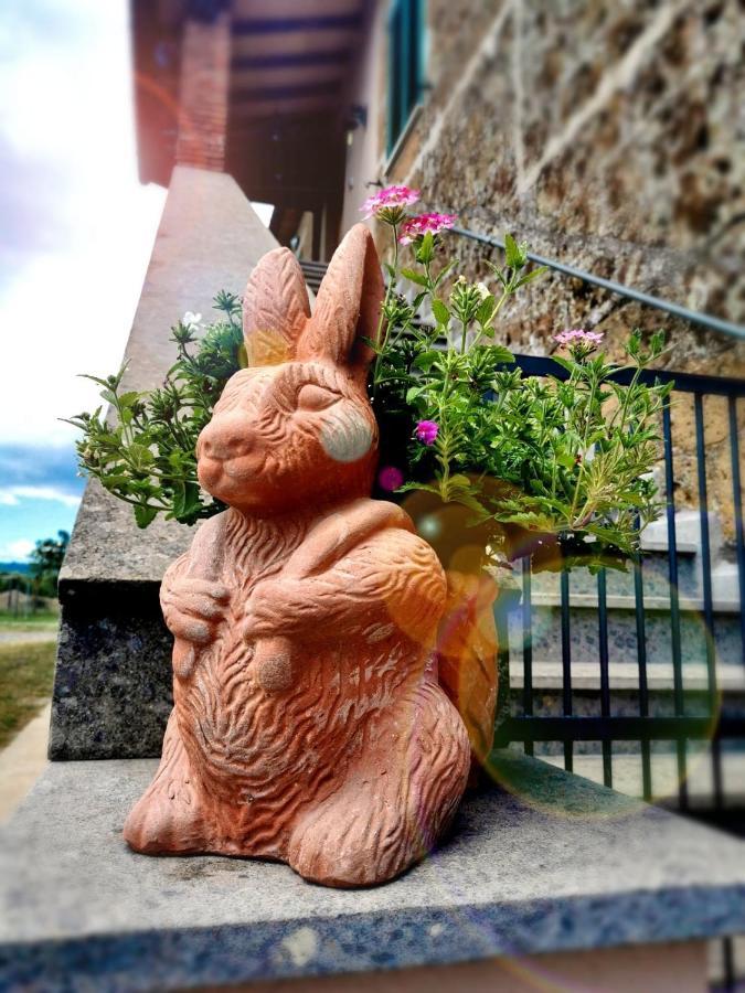 Castelvecchio B&B Sorano Kültér fotó